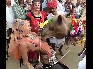camel deep-throated confidential of rajasthani chick